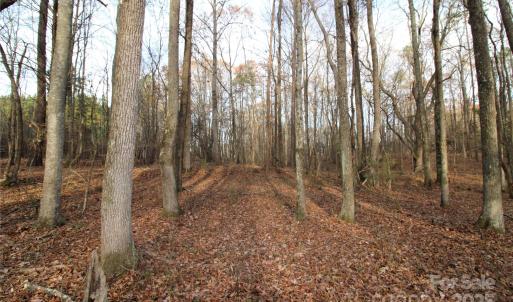 Photo #3 of 14.5+/-AC Pioneer, York, SC