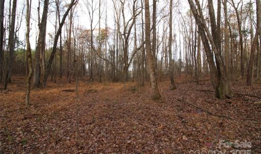 Photo #10 of 14.5+/-AC Pioneer, York, SC