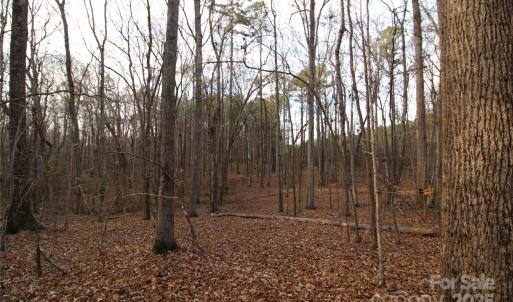 Photo #11 of 14.5+/-AC Pioneer, York, SC