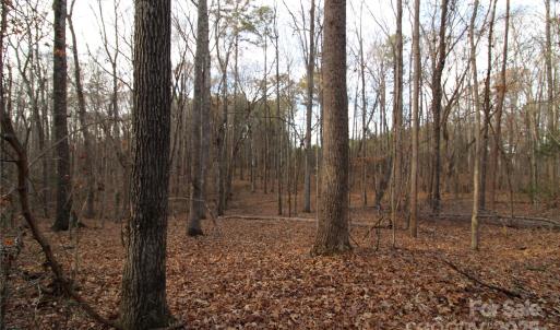 Photo #12 of 14.5+/-AC Pioneer, York, SC