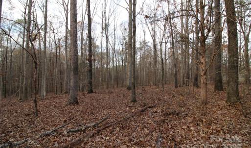 Photo #13 of 14.5+/-AC Pioneer, York, SC
