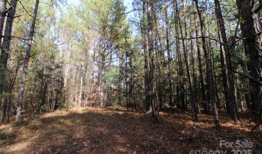 Photo #6 of 6+/-AC Bookout, Rock Hill, SC