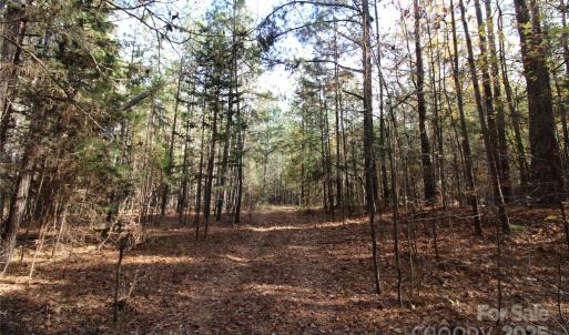 Photo #3 of 6+/-AC Bookout, Rock Hill, SC