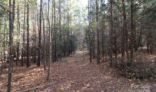 Photo #5 of 6+/-AC Bookout, Rock Hill, SC