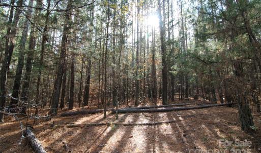 Photo #3 of 5+/-AC Bookout, Rock Hill, SC