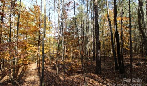 Photo #6 of 5+/-AC Bookout, Rock Hill, SC