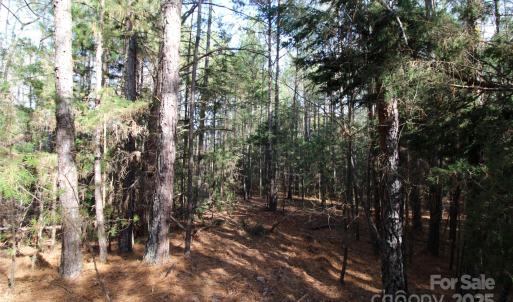 Photo #2 of 5+/-AC Bookout, Rock Hill, SC