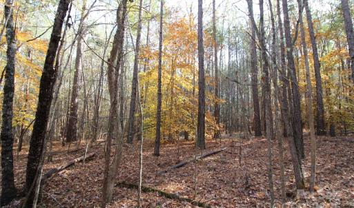 Photo #7 of 5+/-AC Bookout, Rock Hill, SC