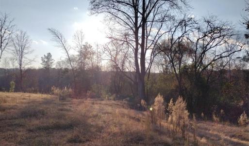 Photo #4 of 2211 Bottom, Chester, SC