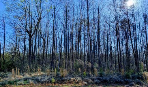 Photo #4 of 4255 Brandy Creek, Clover, SC