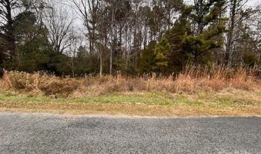 Photo #2 of Ray Lee, Norwood, NC