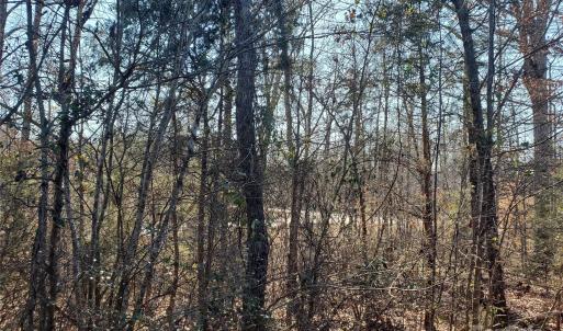 Photo #16 of 5125 Longbrooke, Indian Land, SC