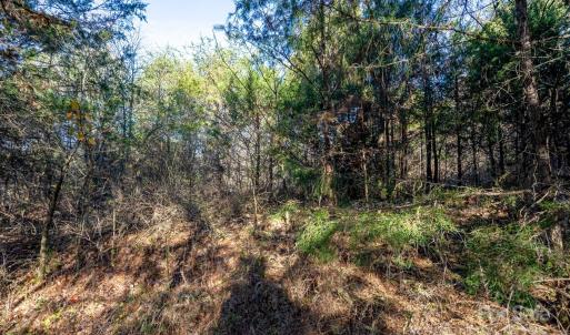 Photo #4 of China Grove, Rockwell, NC