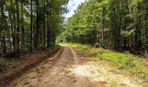 Photo #6 of Jasper, Summerton, SC