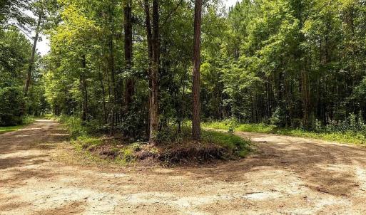 Photo #5 of Jasper, Summerton, SC