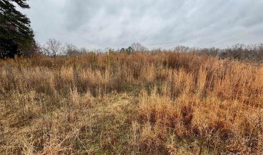 Photo #4 of Lot 1B Mallory, Mount Pleasant, NC