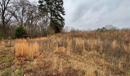 Photo #3 of Lot 1B Mallory, Mount Pleasant, NC