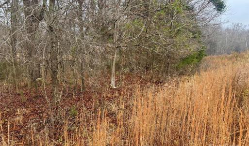 Photo #2 of Lot 1B Mallory, Mount Pleasant, NC