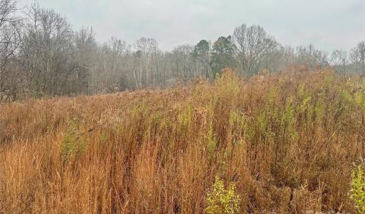 Photo #1 of Lot 1B Mallory, Mount Pleasant, NC