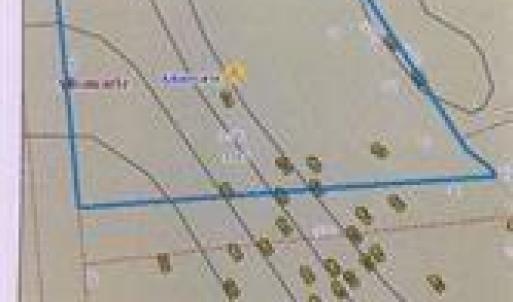 Photo #2 of Long, Albemarle, NC