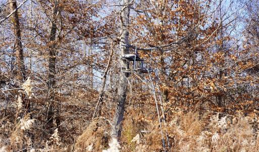 Photo #19 of 522 Whitworth, Clover, SC