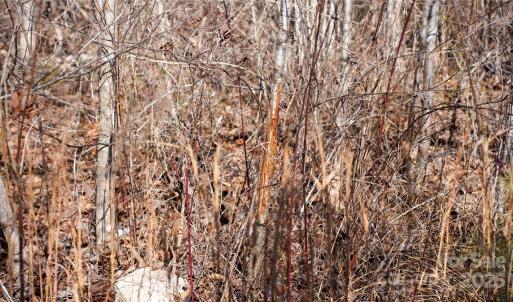 Photo #10 of 522 Whitworth, Clover, SC