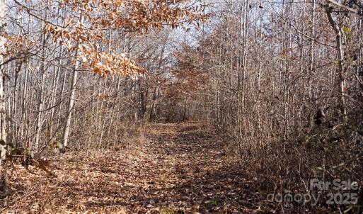 Photo #4 of 522 Whitworth, Clover, SC