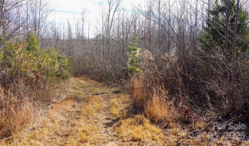 Photo #14 of 522 Whitworth, Clover, SC