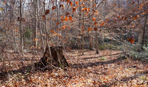 Photo #5 of 522 Whitworth, Clover, SC