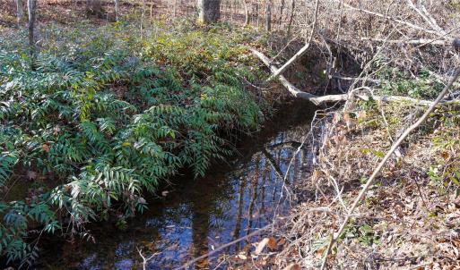 Photo #7 of 522 Whitworth, Clover, SC