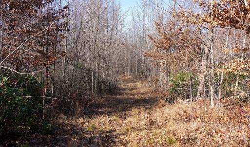 Photo #12 of 522 Whitworth, Clover, SC