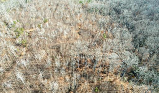 Photo #34 of 522 Whitworth, Clover, SC