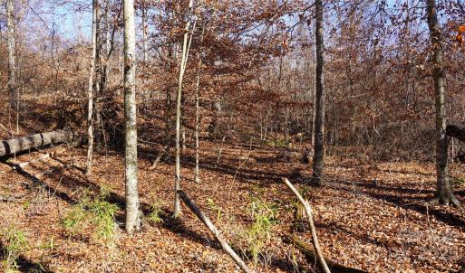 Photo #6 of 522 Whitworth, Clover, SC