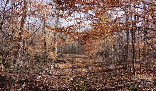 Photo #3 of 522 Whitworth, Clover, SC