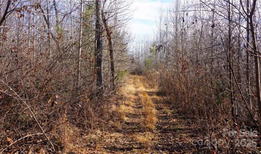 Photo #16 of 522 Whitworth, Clover, SC