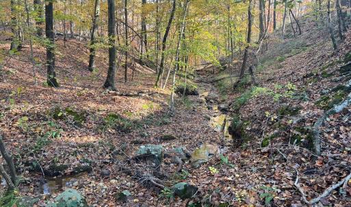 Photo #24 of 8277 Lockhart, Sharon, SC