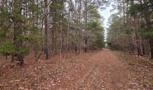 Photo #1 of Lynn, Lancaster, SC