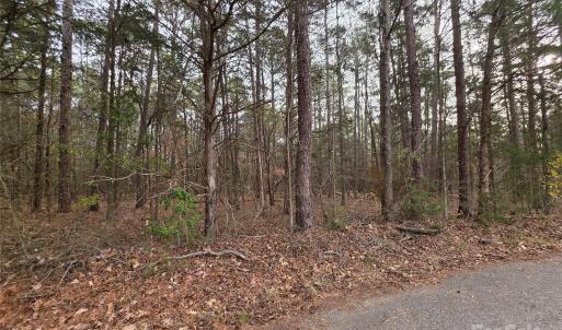 Photo #3 of Lynn, Lancaster, SC