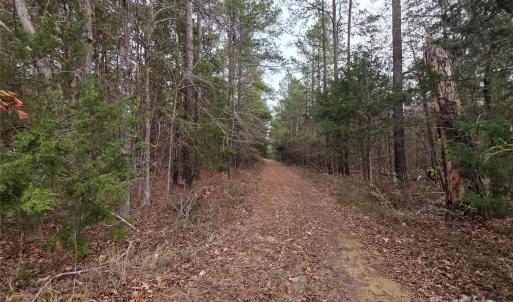 Photo #4 of Lynn, Lancaster, SC