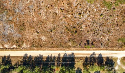 Photo #6 of Riley, Chesterfield, SC