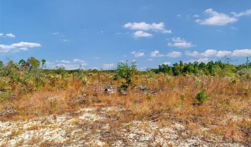 Photo #14 of Riley, Chesterfield, SC