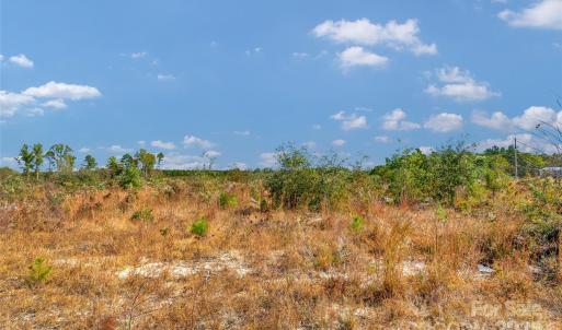 Photo #11 of Riley, Chesterfield, SC