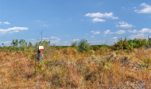 Photo #9 of Riley, Chesterfield, SC