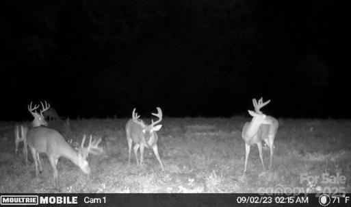 Photo #27 of Hasty, Marshville, NC