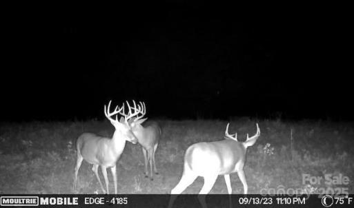 Photo #30 of Hasty, Marshville, NC