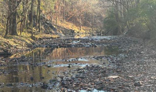 Photo #13 of Hasty, Marshville, NC