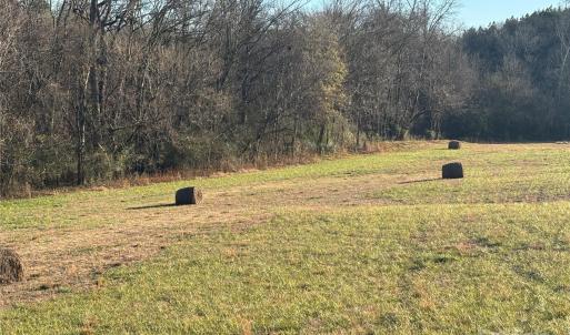 Photo #7 of Hasty, Marshville, NC