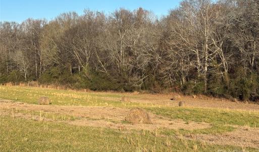 Photo #4 of Hasty, Marshville, NC