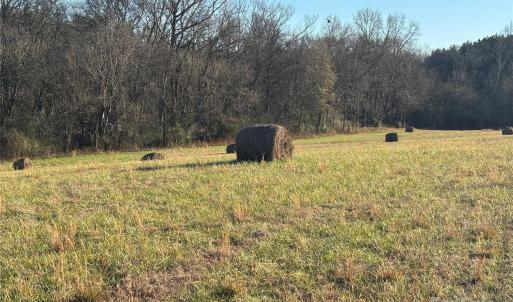 Photo #2 of Hasty, Marshville, NC