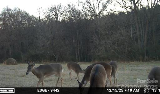 Photo #25 of Hasty, Marshville, NC